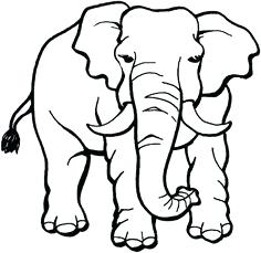 236x229 Ethnic Elephant Line Original Drawing Adults Coloring Book