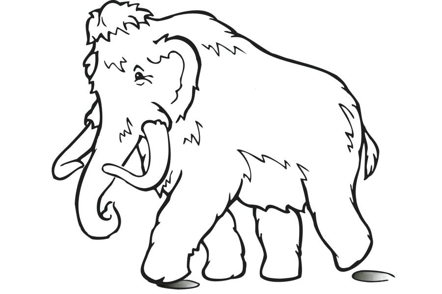 Elephant Line Drawing | Free download on ClipArtMag