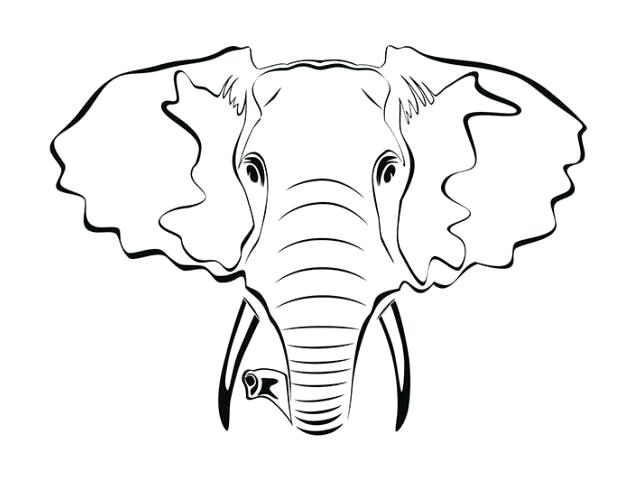 Elephant Outline Drawing | Free download on ClipArtMag