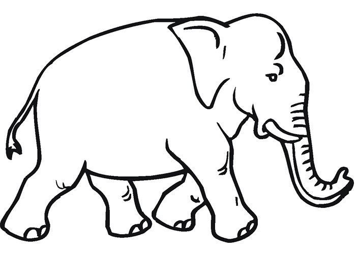 Elephant Outline Drawing | Free download on ClipArtMag