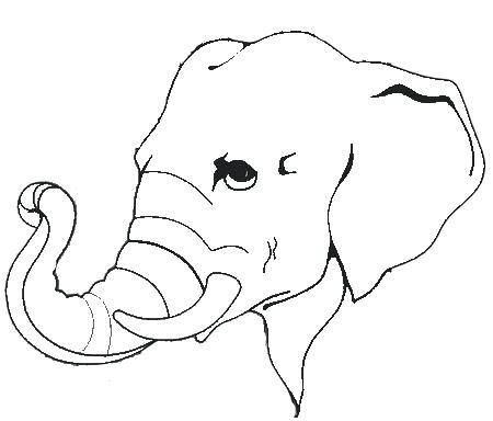 450x384 Free Outline Of Elephant Face Download Free Clip Art Free Clip Art