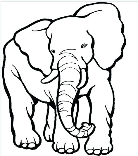 472x532 Outline Of A Elephant Best Y Blank Pattern Elephants Images
