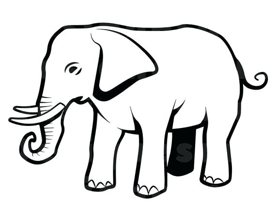 570x456 Outline Of Elephant Image Elephant Outline Drawing Free