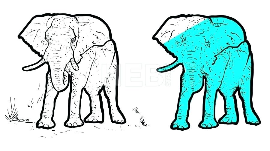 900x506 Elephant Outline Drawing