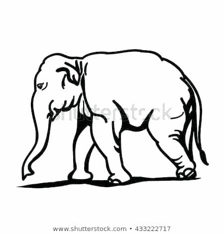 450x470 Elephant Drawing Outline Elephant Outline Elephant Outline