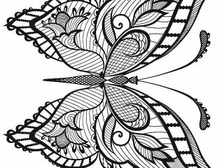 320x240 Butterfly Coloring Sheet Butterfly Coloring
