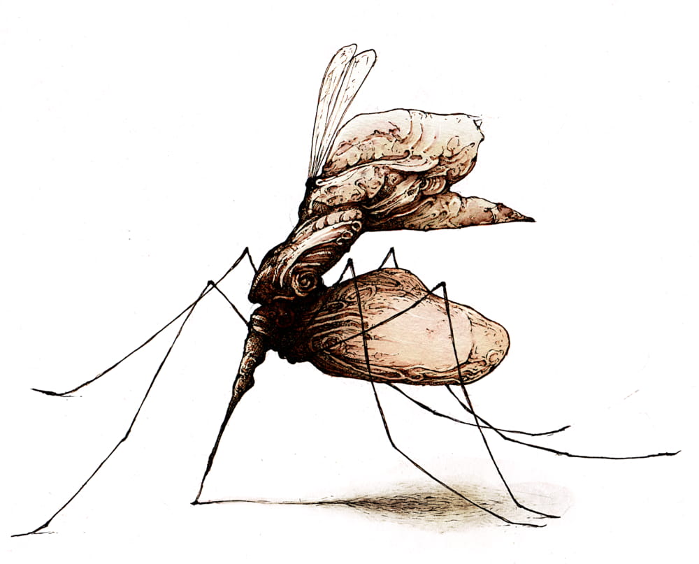 1000x807 Drawings, Sketches And Cartoons Sketchbook