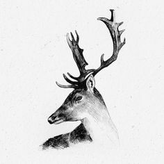 236x236 Best White Elephant Giftparty Ideas Images White Elephant