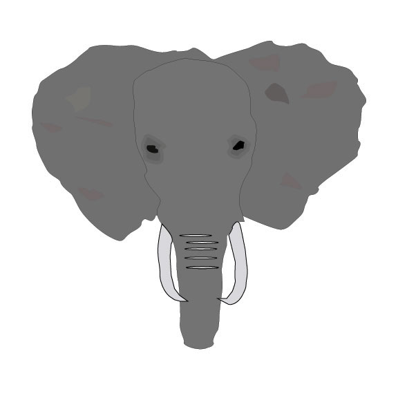 576x576 Pen Tool Assignment On Behance