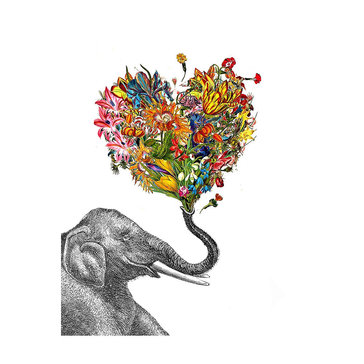 1200x1200 Zlatka Paneva Mira