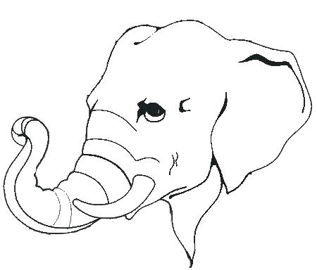 450x384 Elephant Face Outline Elephant Outline Drawing Cute Elephant Face