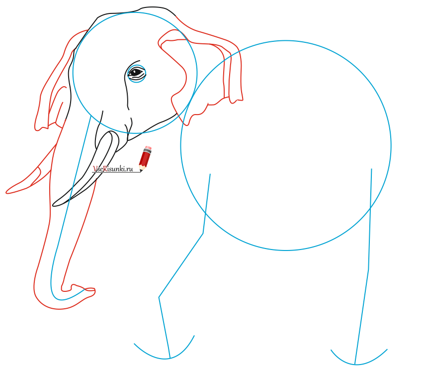 853x755 how to draw an elephant pencil in stages