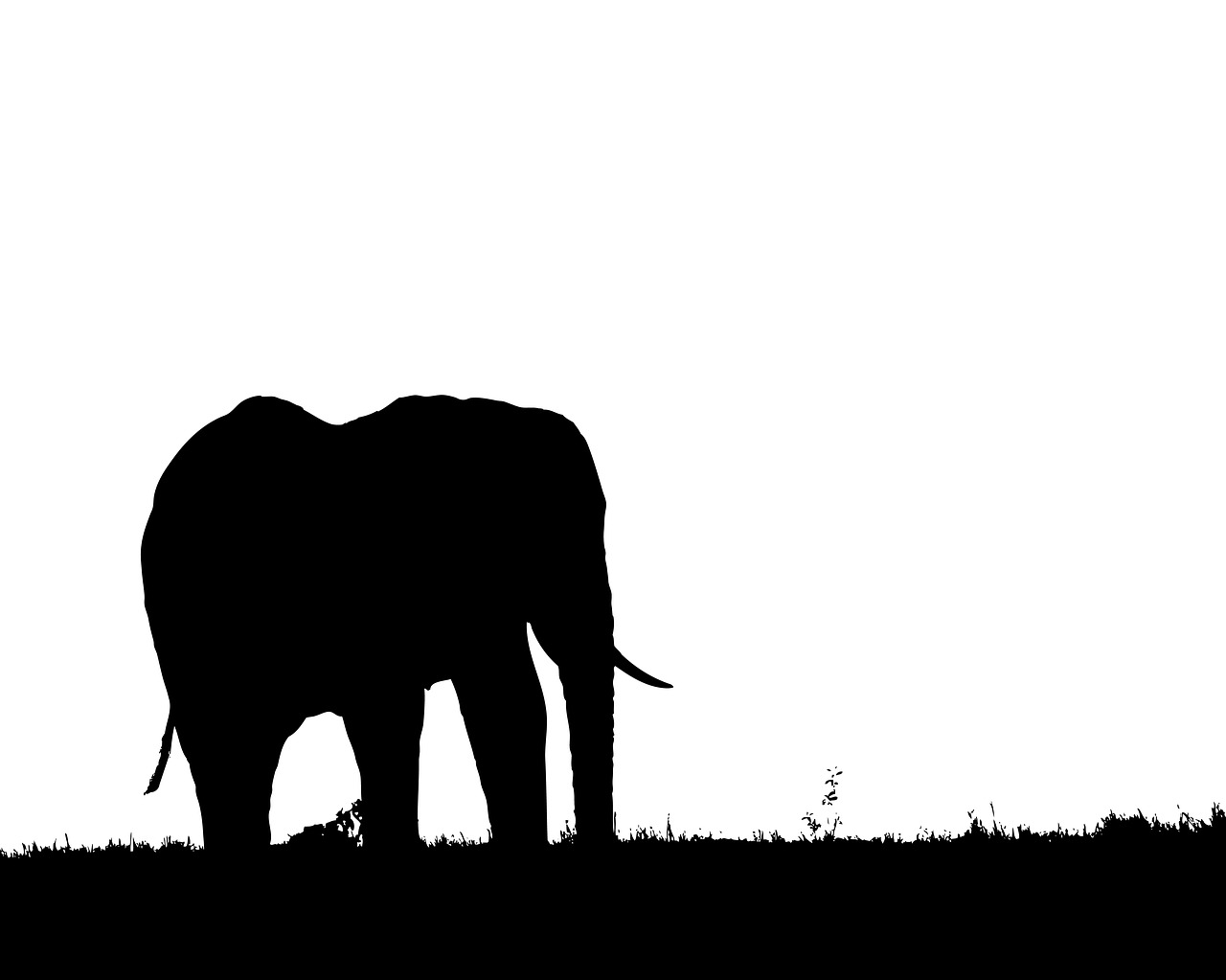 1280x1023 Elephant, Silhouette, Profile, Nature, Symbol