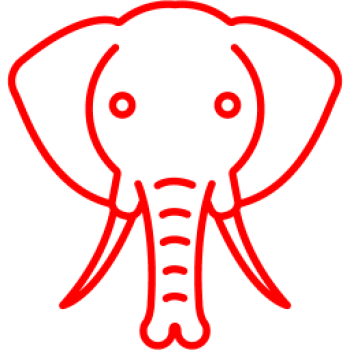 350x350 Redelephant's Profile