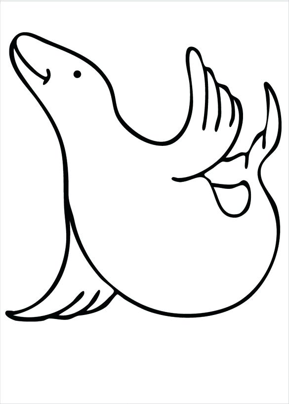 585x817 Coloring Pages Seal Animal Coloring Pages Baby Free Realistic