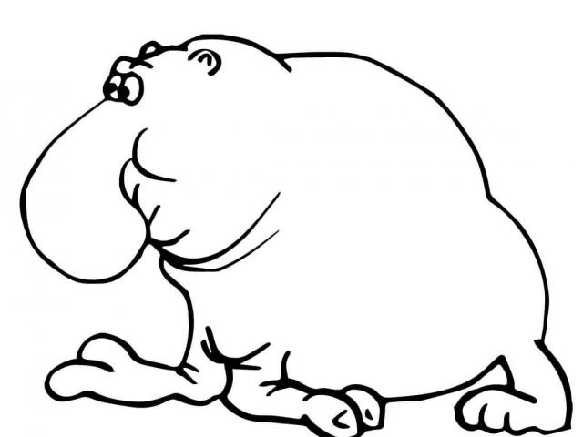640x480 Free Drawn Elephant Seal, Download Free Clip Art