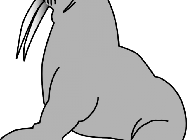 640x480 Free Elephant Seal Clipart, Download Free Clip Art