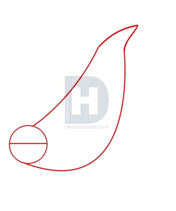 603x720 How To Draw Seal Draw So Cute Sea Life