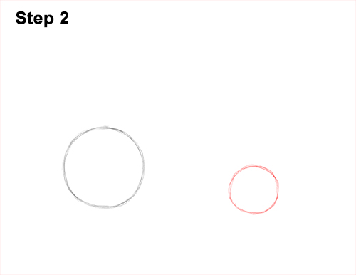 500x386 How To Draw An Elephant Seal