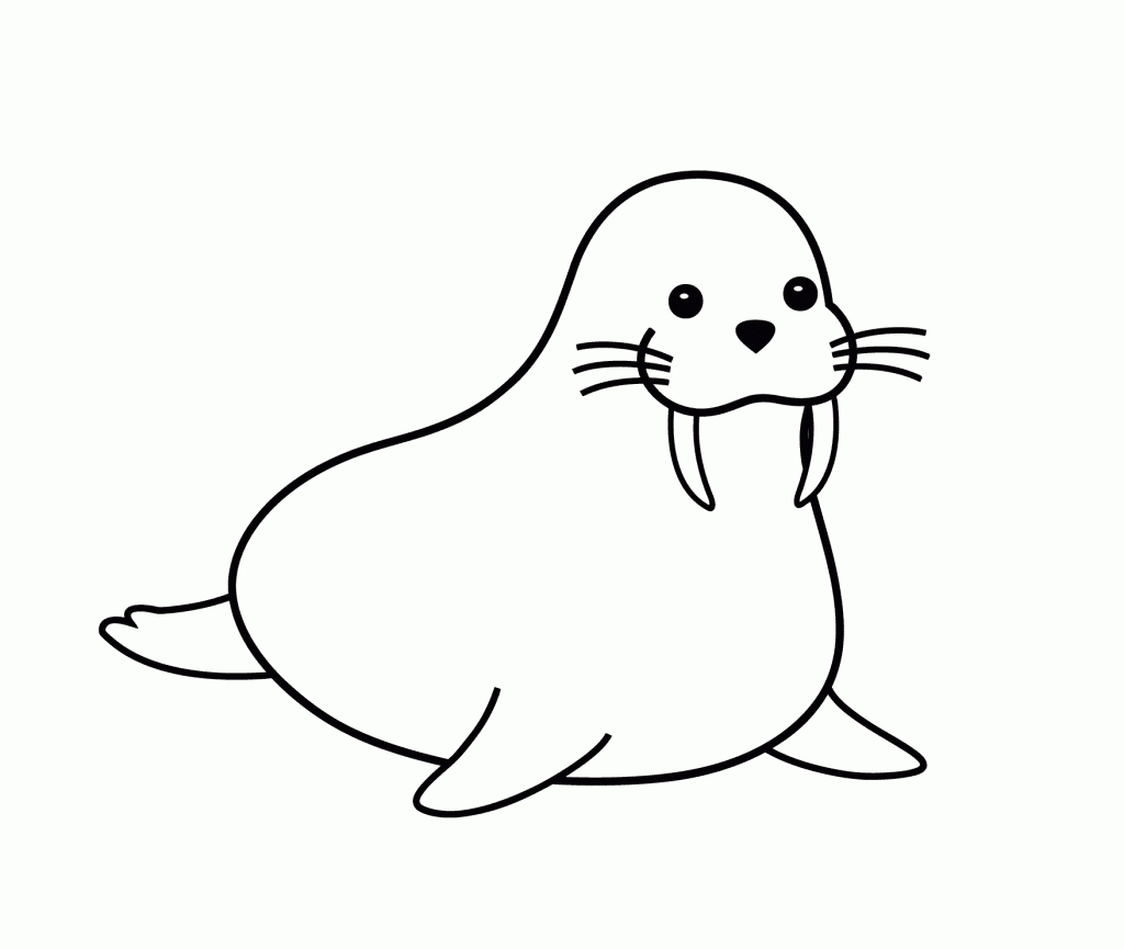 1024x865 Walrus Drawing Free Download