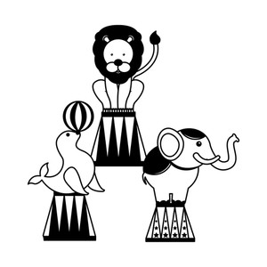 300x300 Northern Elephant Seal Royalty Free Vectors