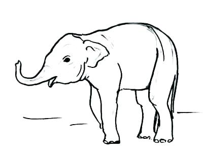 Elephant Side View Drawing | Free download on ClipArtMag