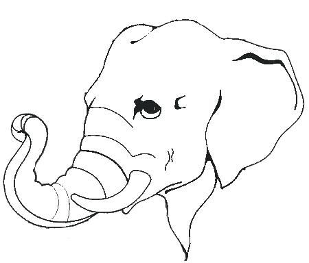 450x384 Elephant Head Drawing Elephant Head Drawing Images Stock Pictures