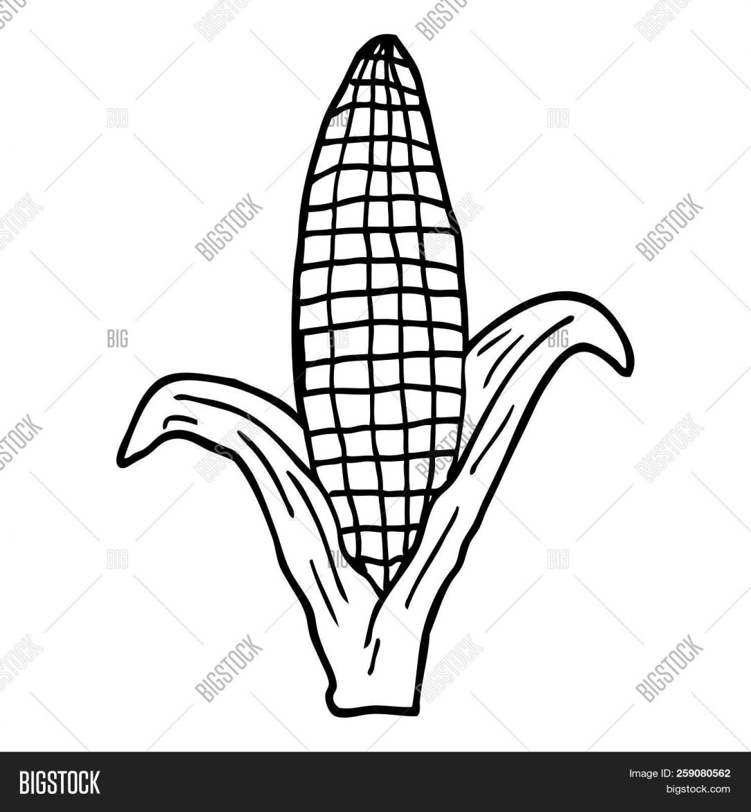 1084x1171 Aircraft Drawing Easy Airplane Black And White Tutorial Cartoon