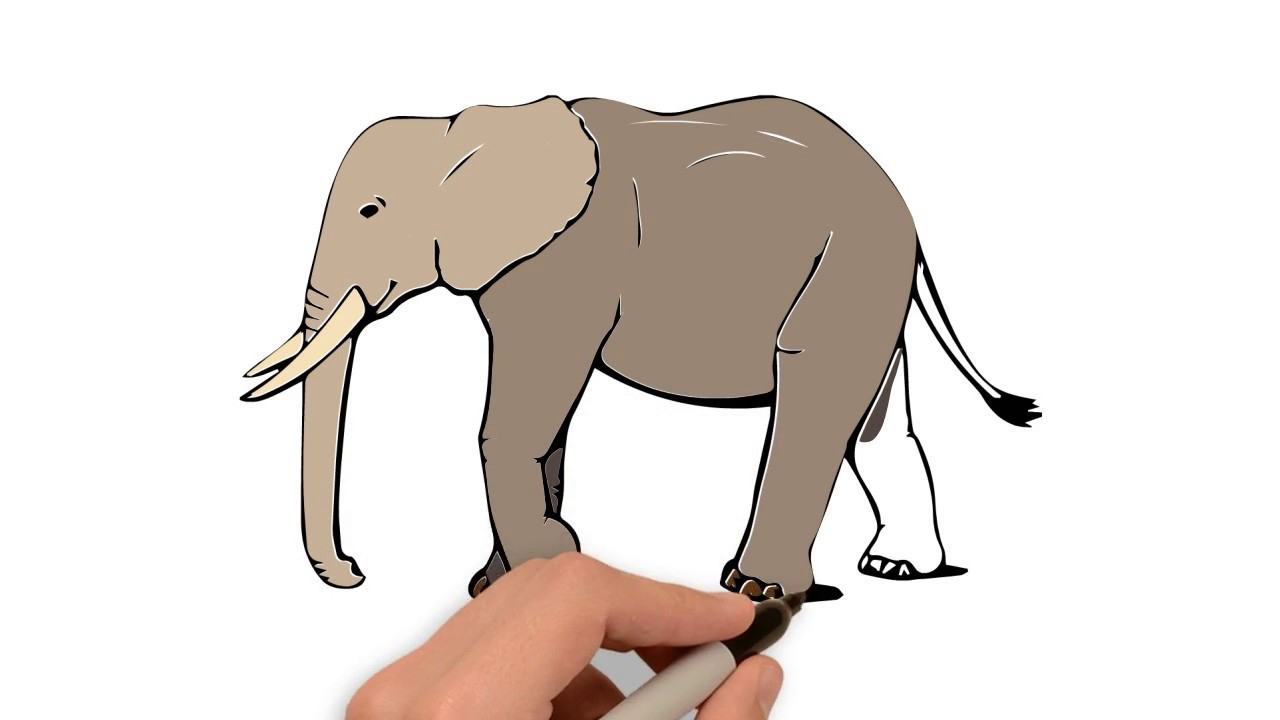 1280x720 Elephant Drawing For Coloring How To Draw And Color An Elephant