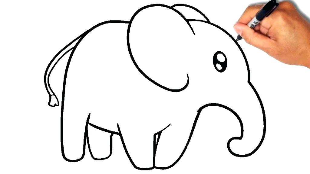 1024x576 Elephant Picture For Drawing Draw An Elephant African Elephant