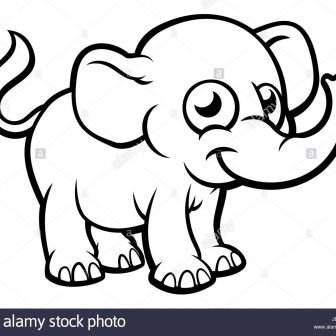 336x336 Baby Elephant Drawing Simple Step