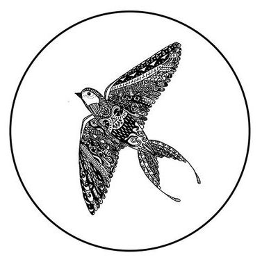 377x377 Doodle Bird On Twitter