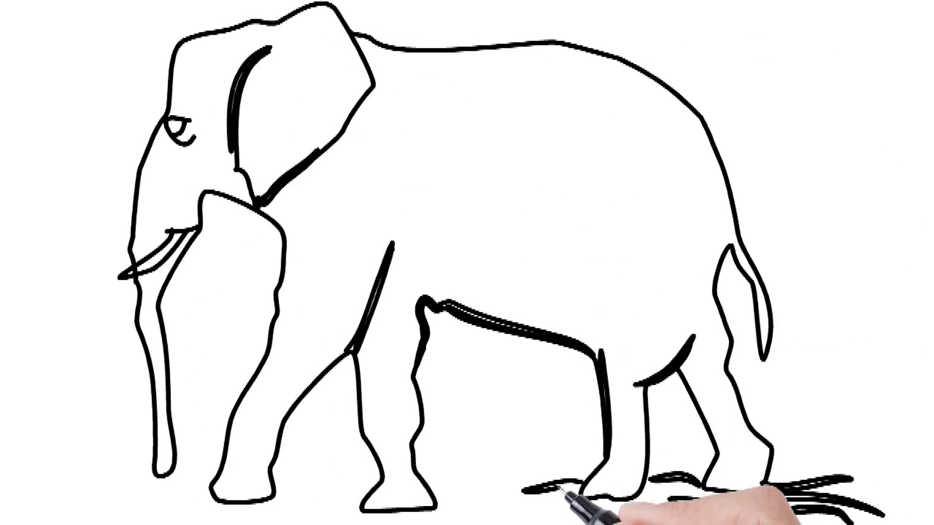 1920x1080 Man Sketching Elephant On Whiteboard Background Animated Sketch