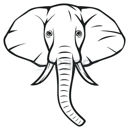 446x450 Outline Of A Elephant Best Y Blank Pattern Elephants Images