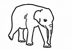 300x210 Easy Sketches Of Elephants Easy Drawing Elephant At Getdrawings