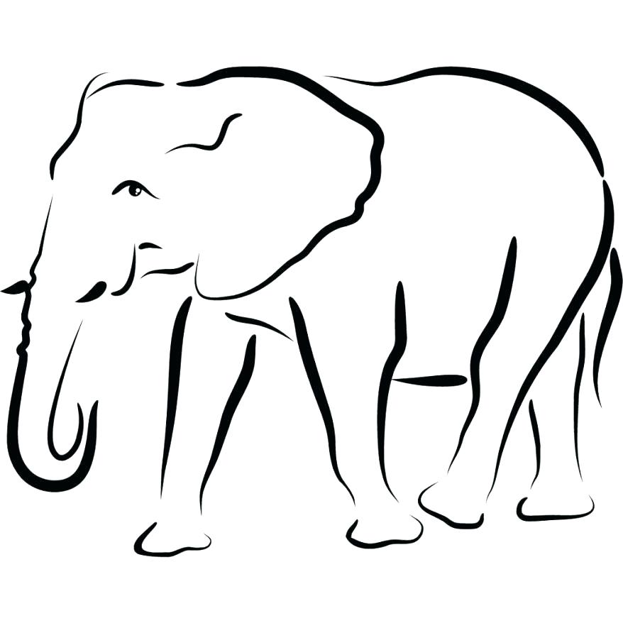 878x878 Elephant Drawing Outline Library Free Images Face