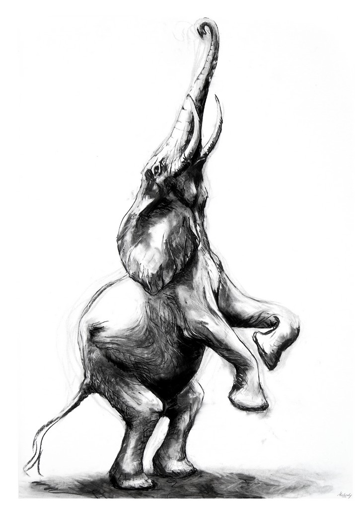 721x1024 Life Size Elephant Project James Maberly Sculpture And Drawing