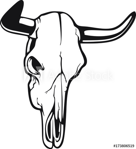 458x500 Cow Skull With Horns Vector