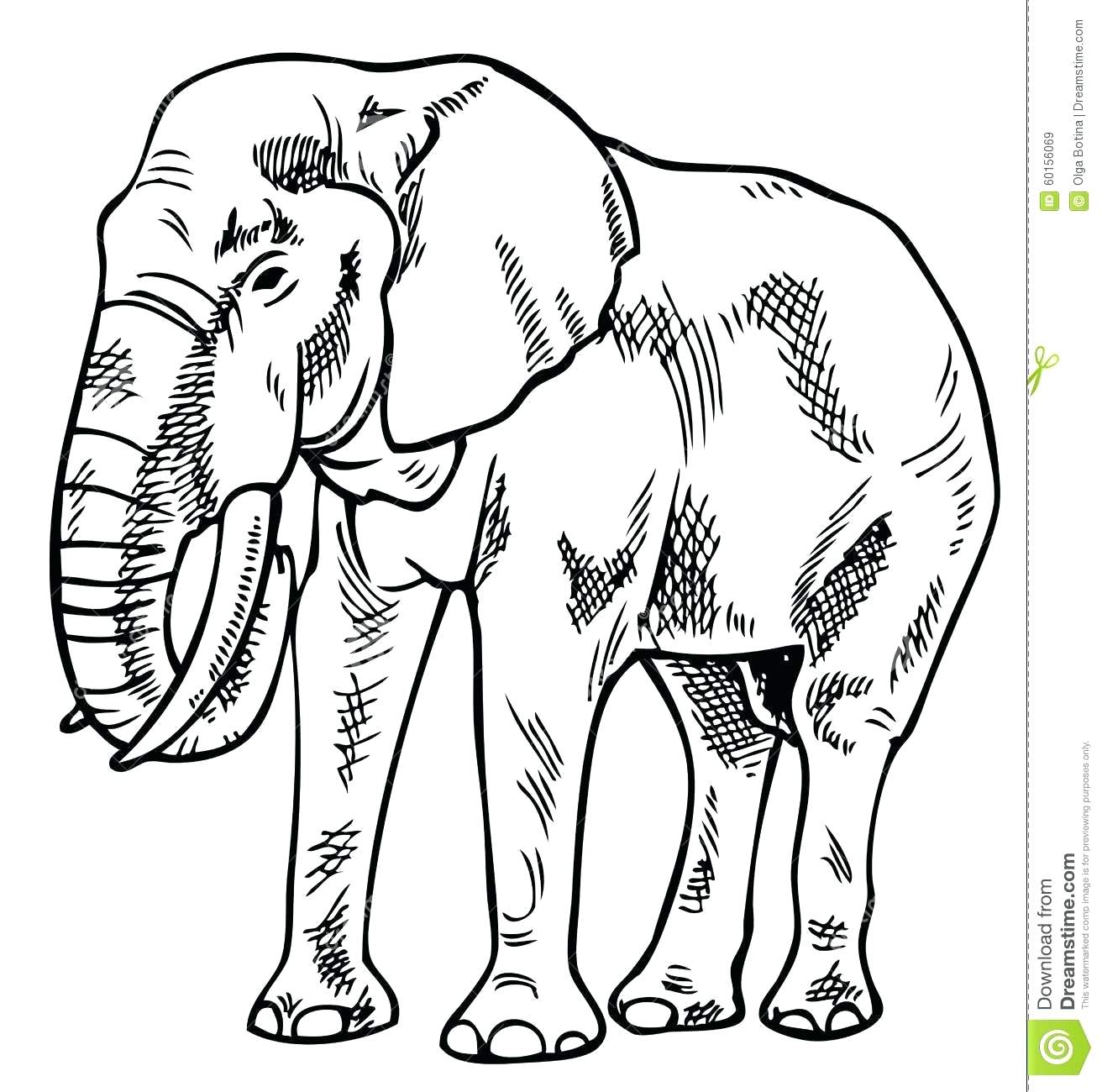 1312x1300 Simple Sketch Of Elephant