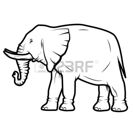 450x450 Drawn Elephant Line