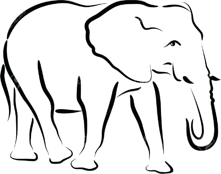 736x579 Outline Elephant Elephant Outline Drawing Outline Elephant Tattoo