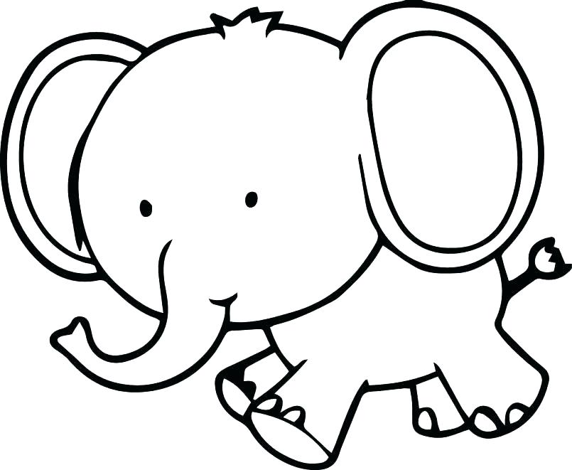 805x661 Elephant To Color