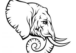 300x210 Easy Elephant Head Drawing