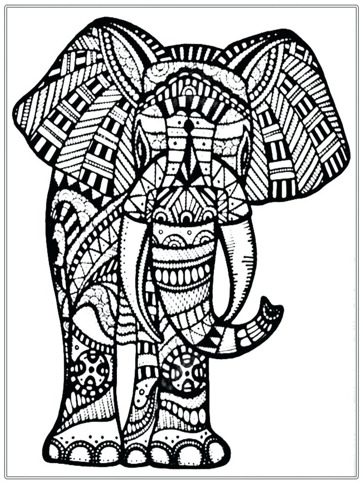 736x981 tribal elephant coloring pages for adults colouring snazzy print