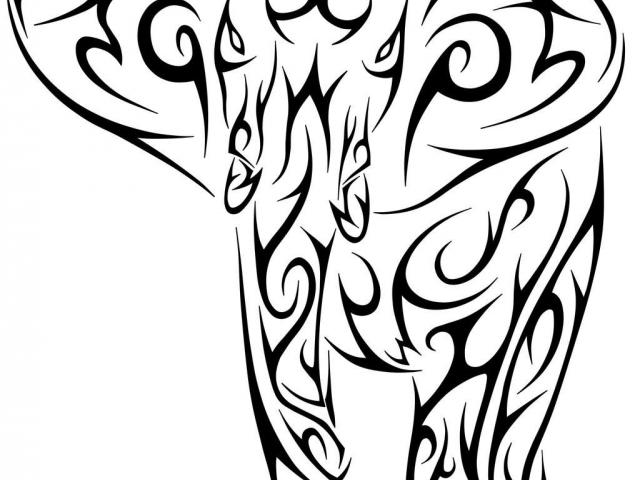 640x480 Tribal Tattoos Clipart Elephant