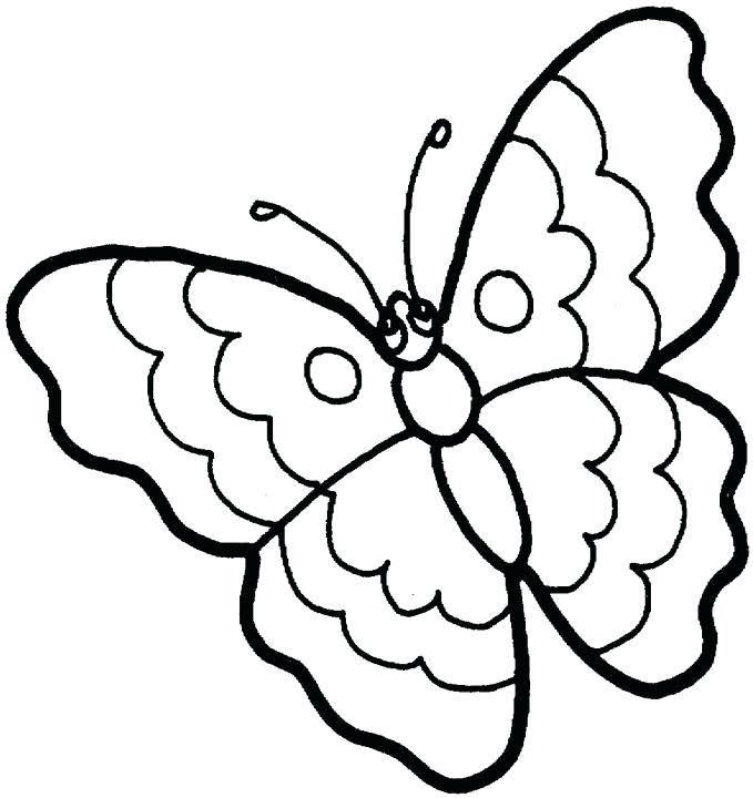 679x720 Butterfly Drawings With Color
