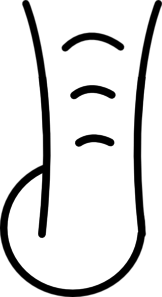 162x297 Drawing Elephants Trunk Transparent Png Clipart Free Download