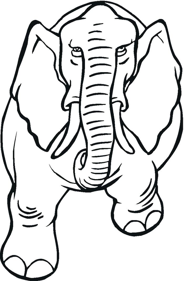 700x1071 Elephant Outline Trunk Up Tattoo S For Simple Elephant Tattoo