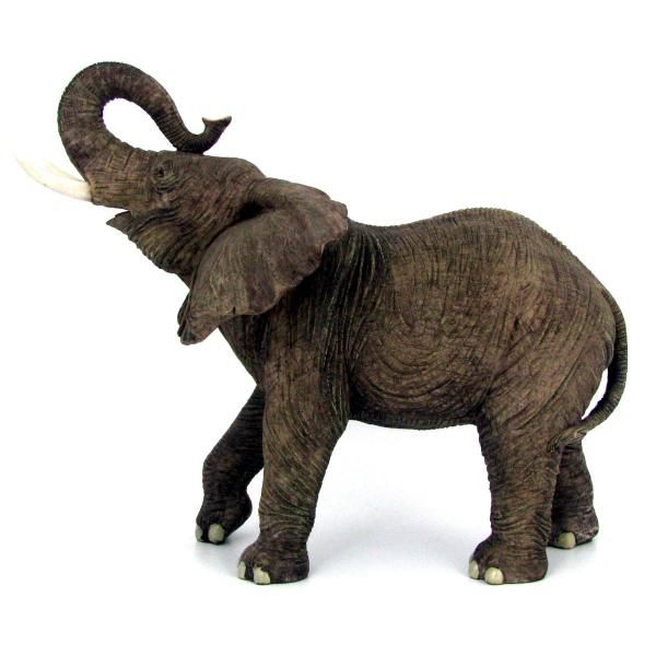 600x600 Elephant Trunk Drawing