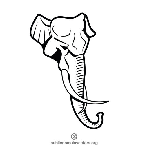 elephant trunk drawing